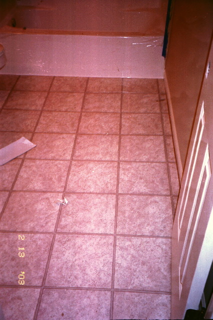 Vinyl floor in guest bath